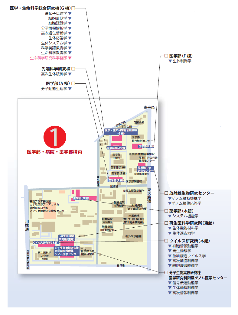 医学11