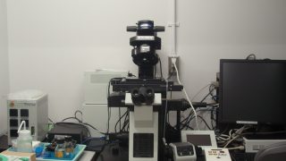 倒立型蛍光顕微鏡Olympus IX83 | 京都大学 大学院生命科学研究科 倒立型蛍光顕微鏡Olympus IX83 | 京都大学 大学院生命科学研究科