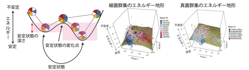 日本農地における安定な土壌微生物群集を推定―細菌・真菌群集の安定状態とその機能―