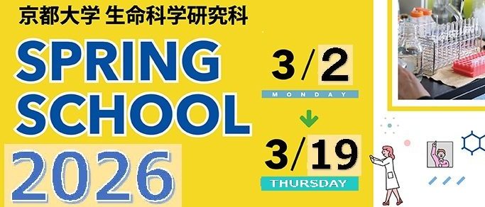 Spring/Summer School